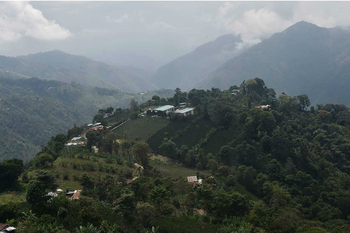 170211_09_ChaparralTolima_1800.jpg