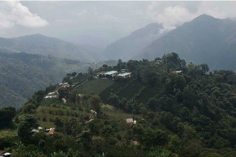 170211_09_ChaparralTolima_1800.jpg