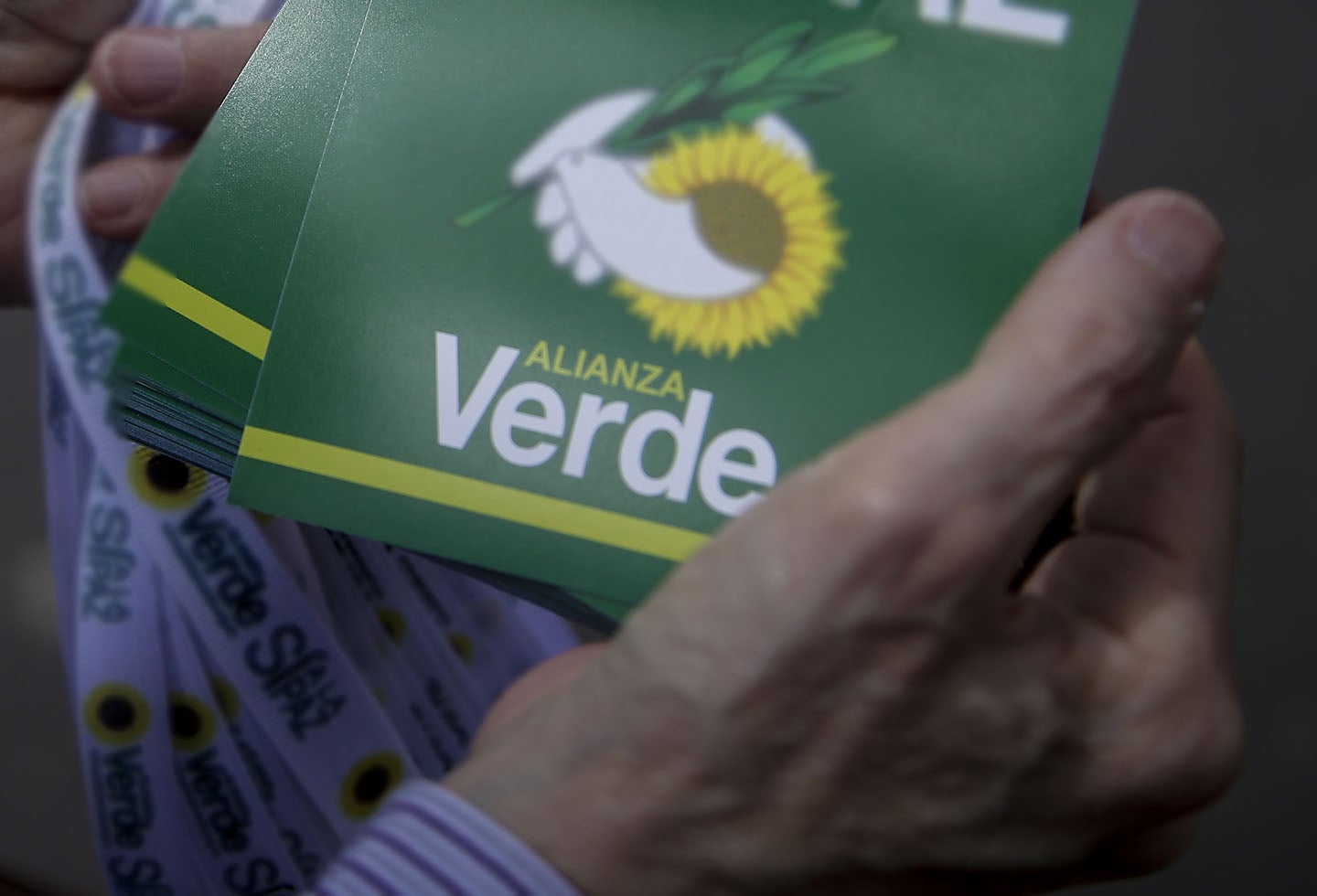 Partido Alianza Verde