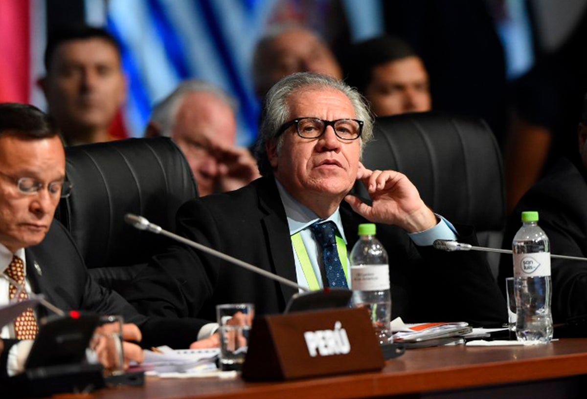 Luis Almagro, secretario general de la OEA / AFP