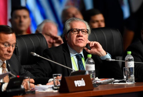 Luis Almagro, secretario general de la OEA / AFP