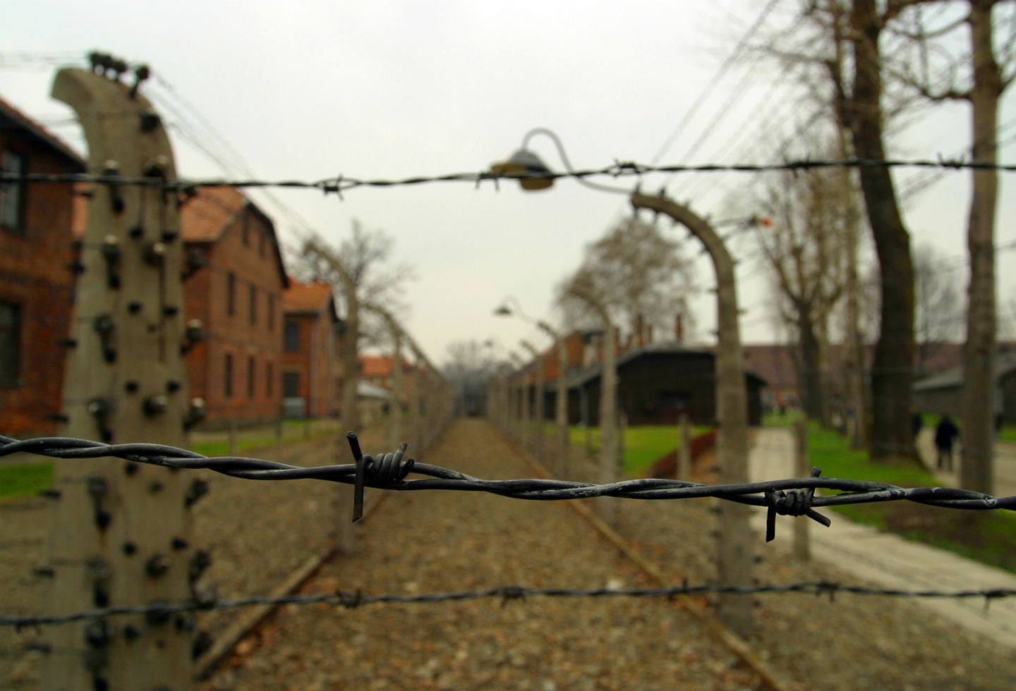 La lucha para que no existan más nazis