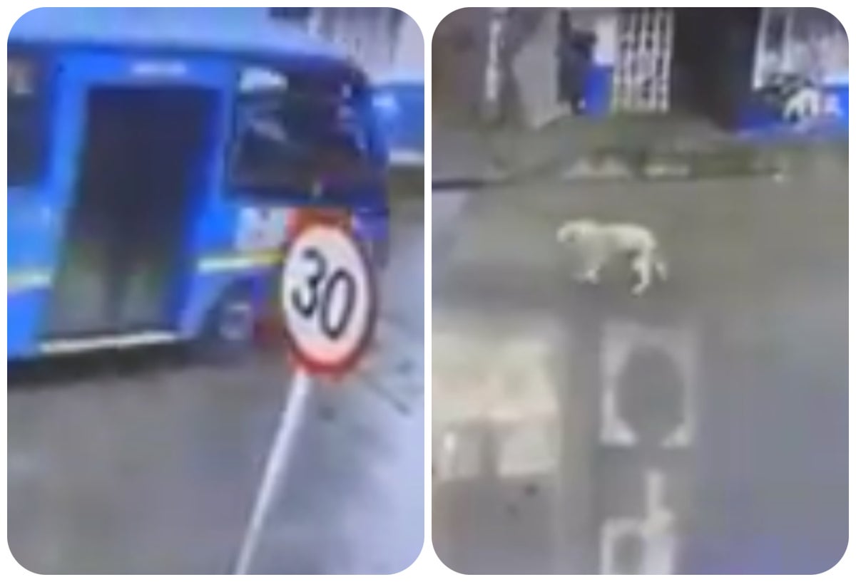 Imagen del incidente / Tomada de video difundido en redes