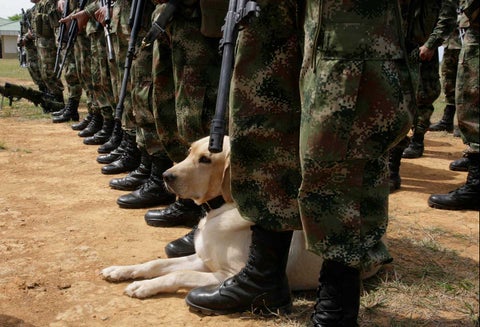 Soldados de Colombia