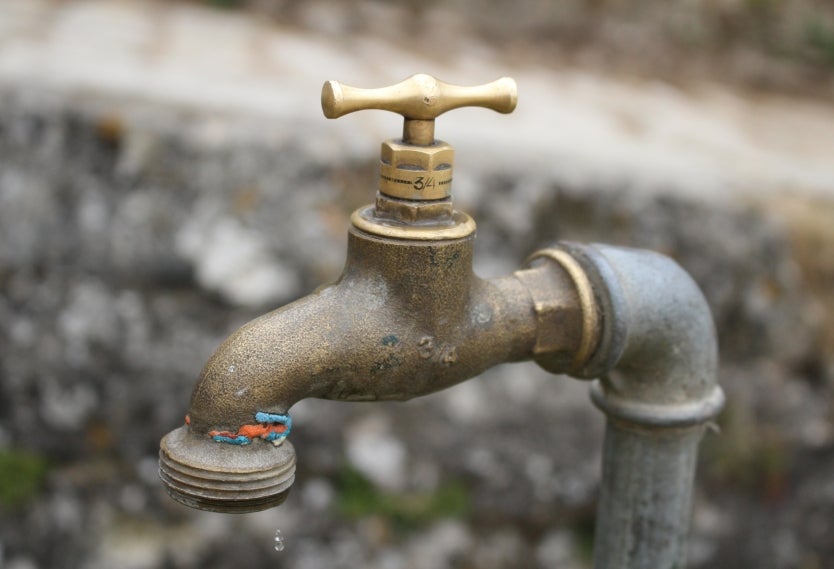 Grifo de Agua