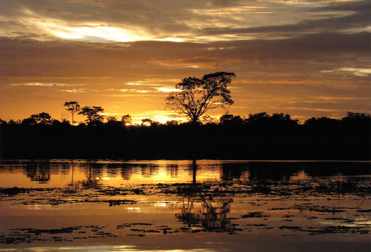 La Reserva Natural Irapai, ubicada en el municipio de Puerto Alegría sobre el Río Amazonas, a 25 kilómetros de Leticia