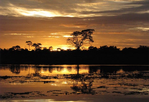 La Reserva Natural Irapai, ubicada en el municipio de Puerto Alegría sobre el Río Amazonas, a 25 kilómetros de Leticia