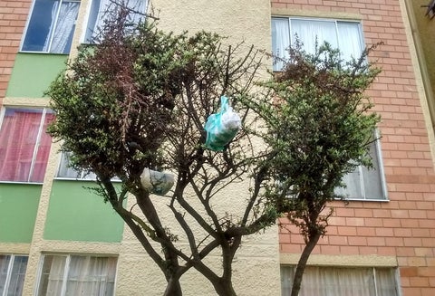 Basura en conjunto en Kennedy