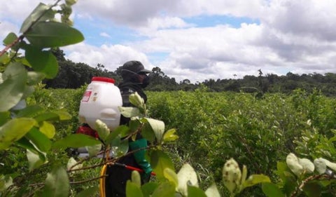 Arremeten contra posible asesino de 8 policías