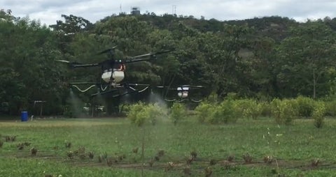 El Ministerio de Defensa planea utilizar drones para erradicar cultivos ilegales.