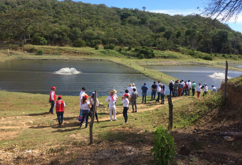 Excombatientes de las Farc