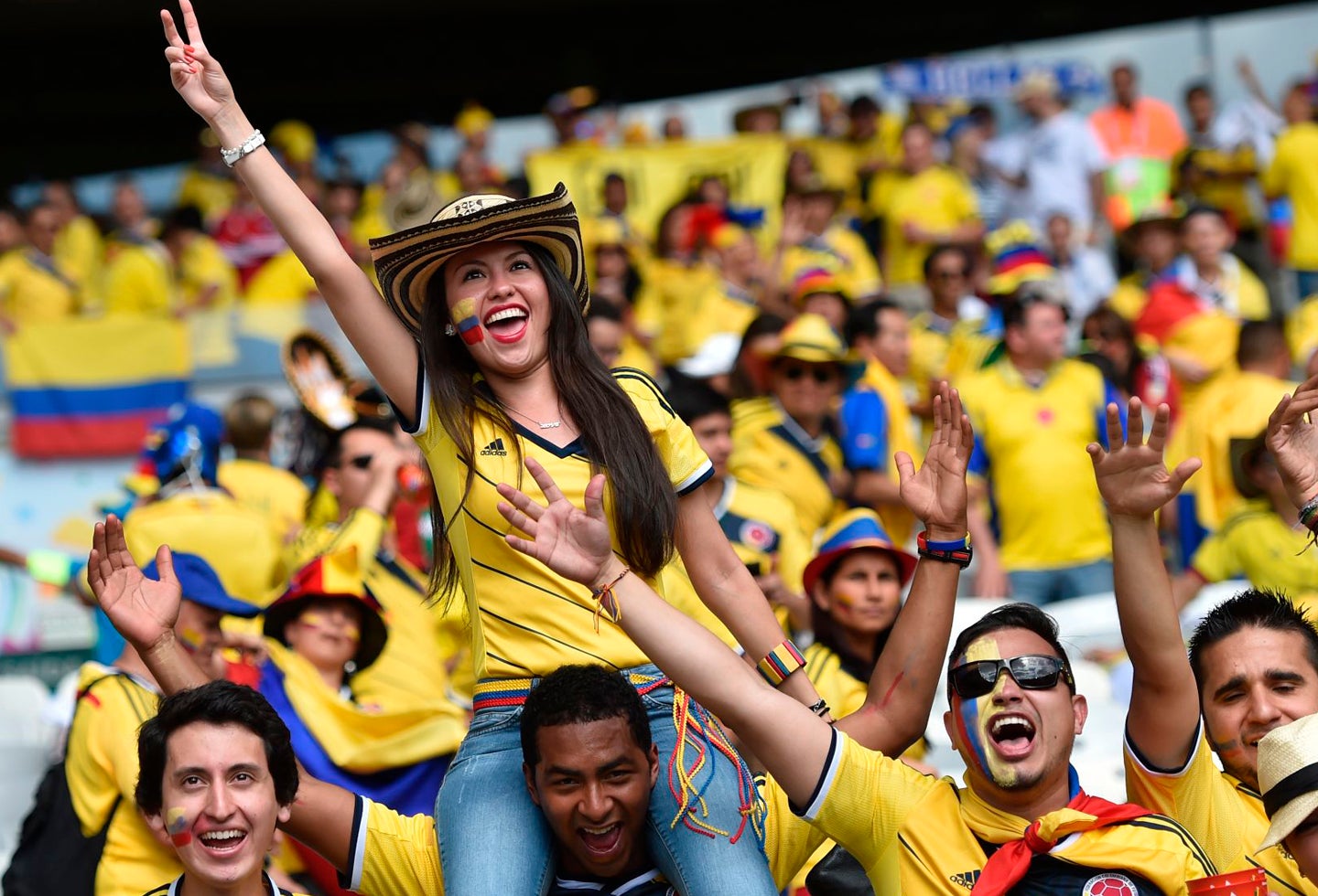 Hinchas de la Selección Colombia