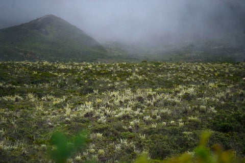 El Páramo de Sumapaz, en Cundinamarca