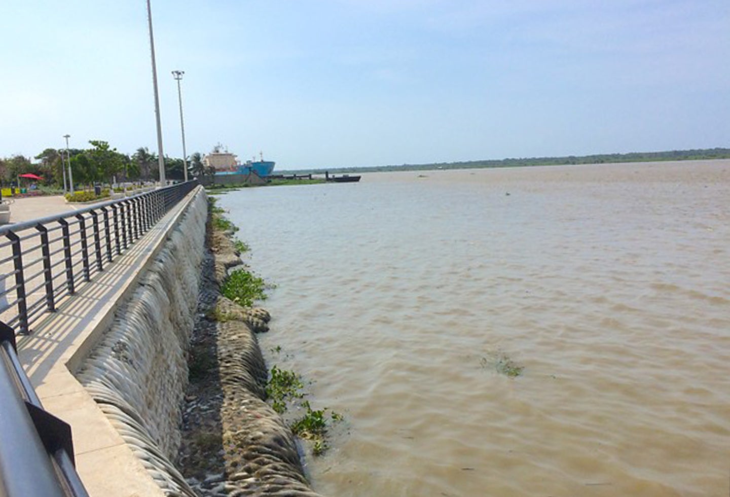 Río Magdalena