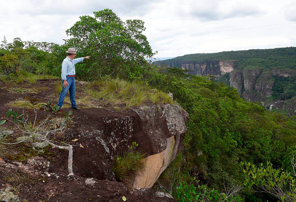 Santos señalando una zona de cultivos ilícitos