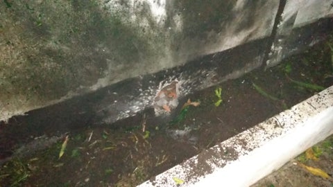 Zona afectada por una granada