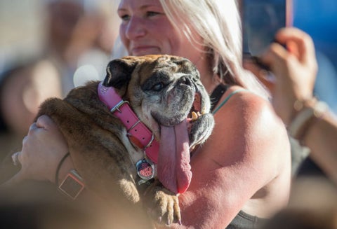 Son más de 4.000 los dispositivos que serán entregados gratuitamente en Bogotá