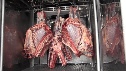 La carne en las plantas de sacrificio.