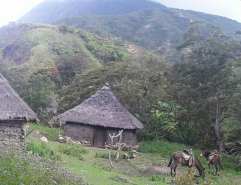 Los senderos y caminos de la Sierra Nevada de Santa Marta.