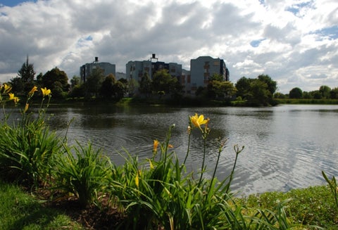 Humedal Santa María del Lago