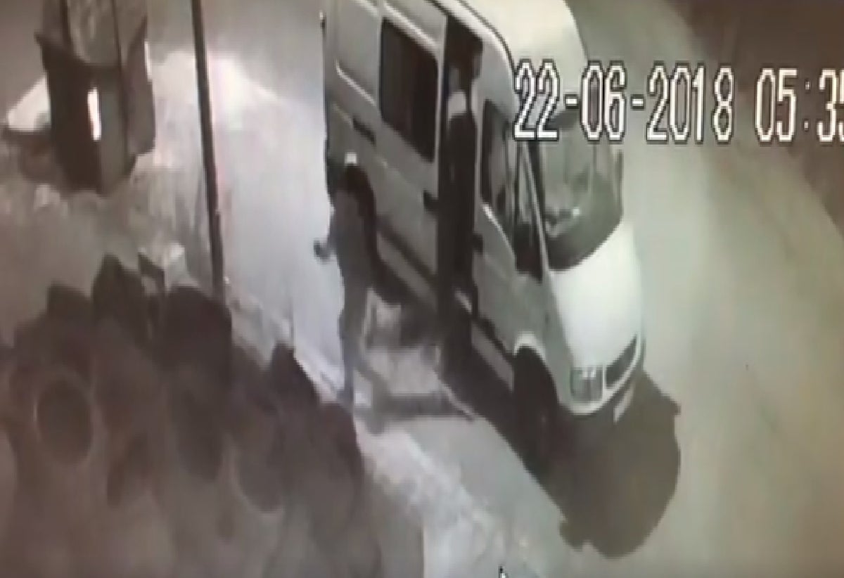 Perro abandonado en medio de la calle
