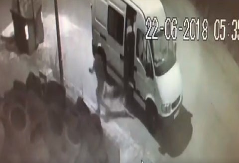 Perro abandonado en medio de la calle