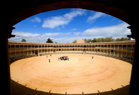 Ocho hombres pudieron controlar al toro