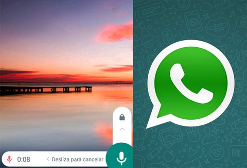 Nota de voz en chat de WhatsApp