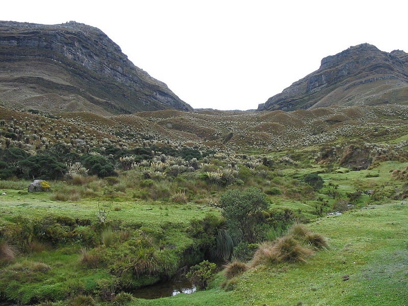 Páramo de Sumapaz, Bogotá