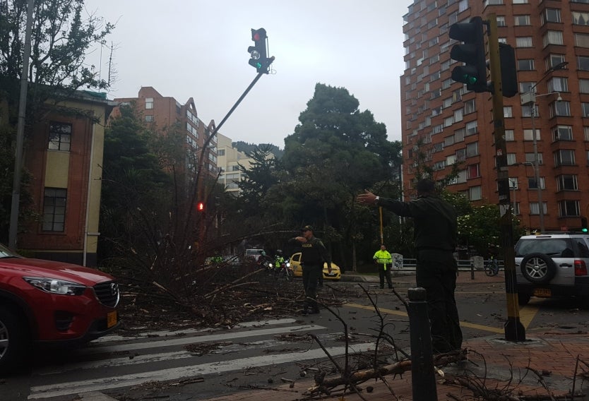 Árbol caído en Bogotá