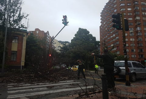 Emergencias en Bogotá debido a los fuertes vientos