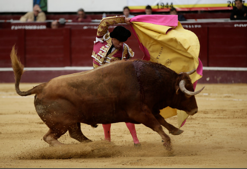 Corrida de toros