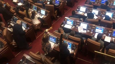 Debate Falsos Testigos Cámara 2