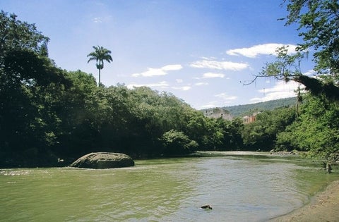 La disputa por el botín terminó con la muerte de un presunto ladrón.