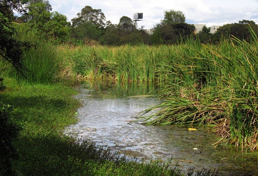 Humedal Santa María del Lago
