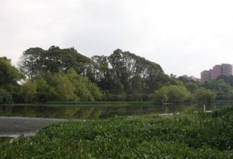 Humedales de Bogotá