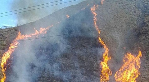 En Antioquia hay alerta por incendios forestales