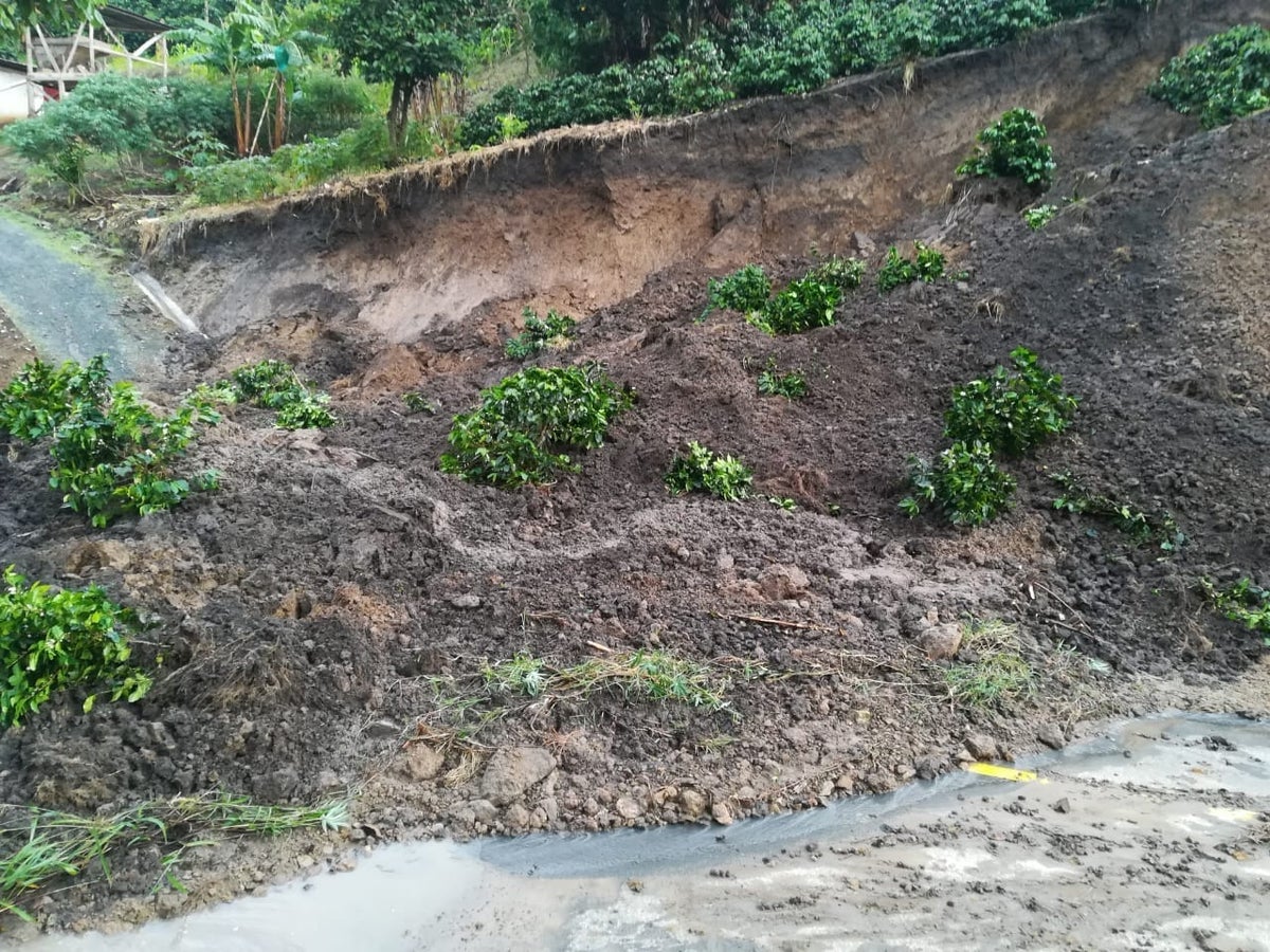 Las lluvias generan derrumbes en Risaralda