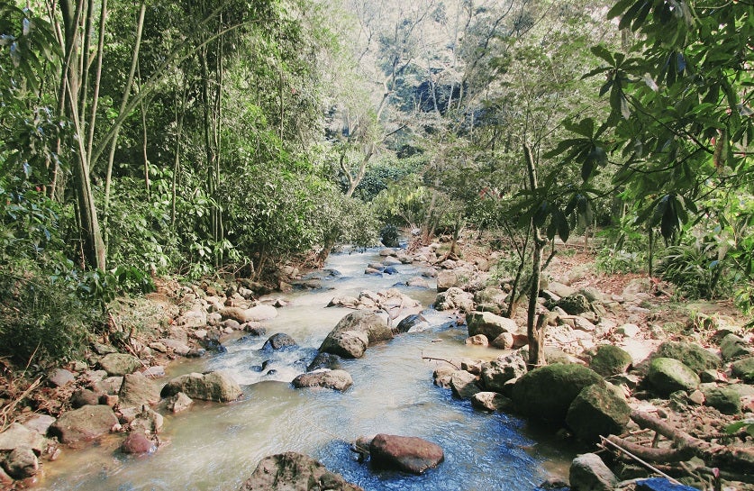 Parque Natural el Gallineral