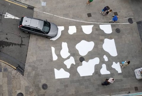 Vaca en lugar de cebra