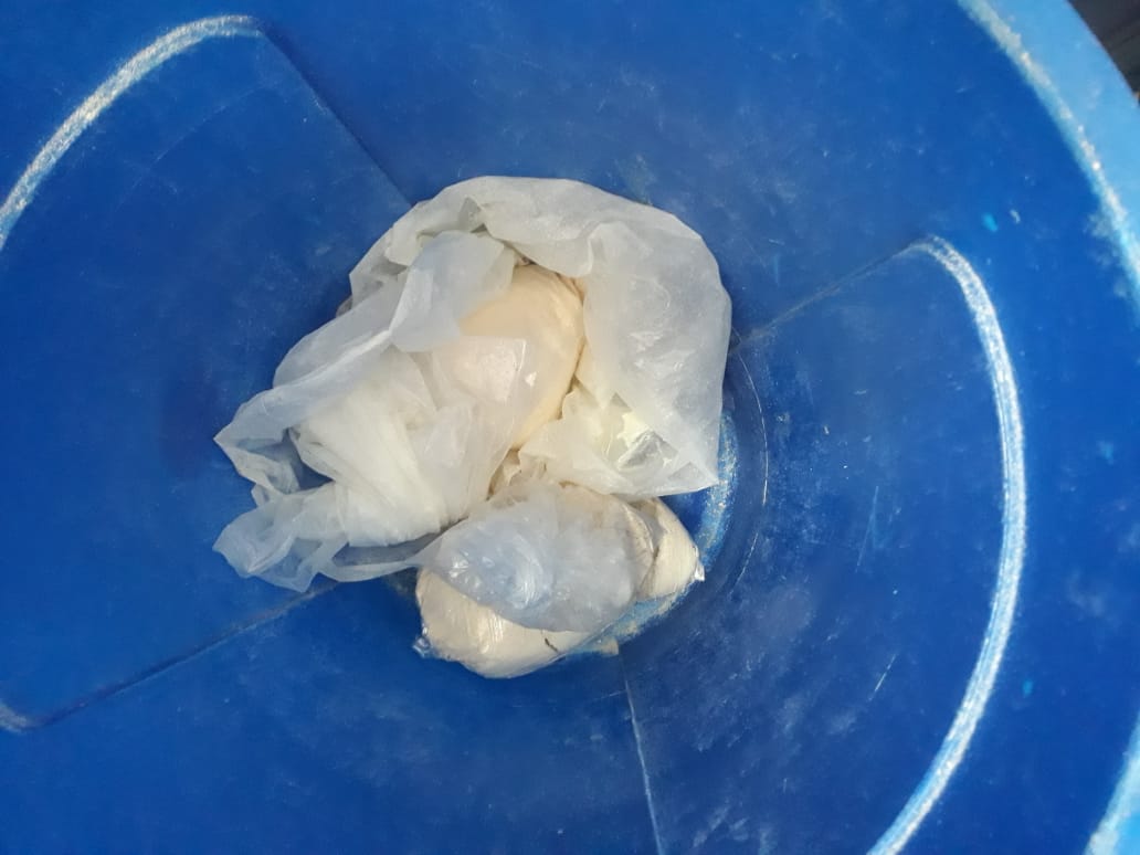 Marihuana tipo creepy fue encontrada en el operativo