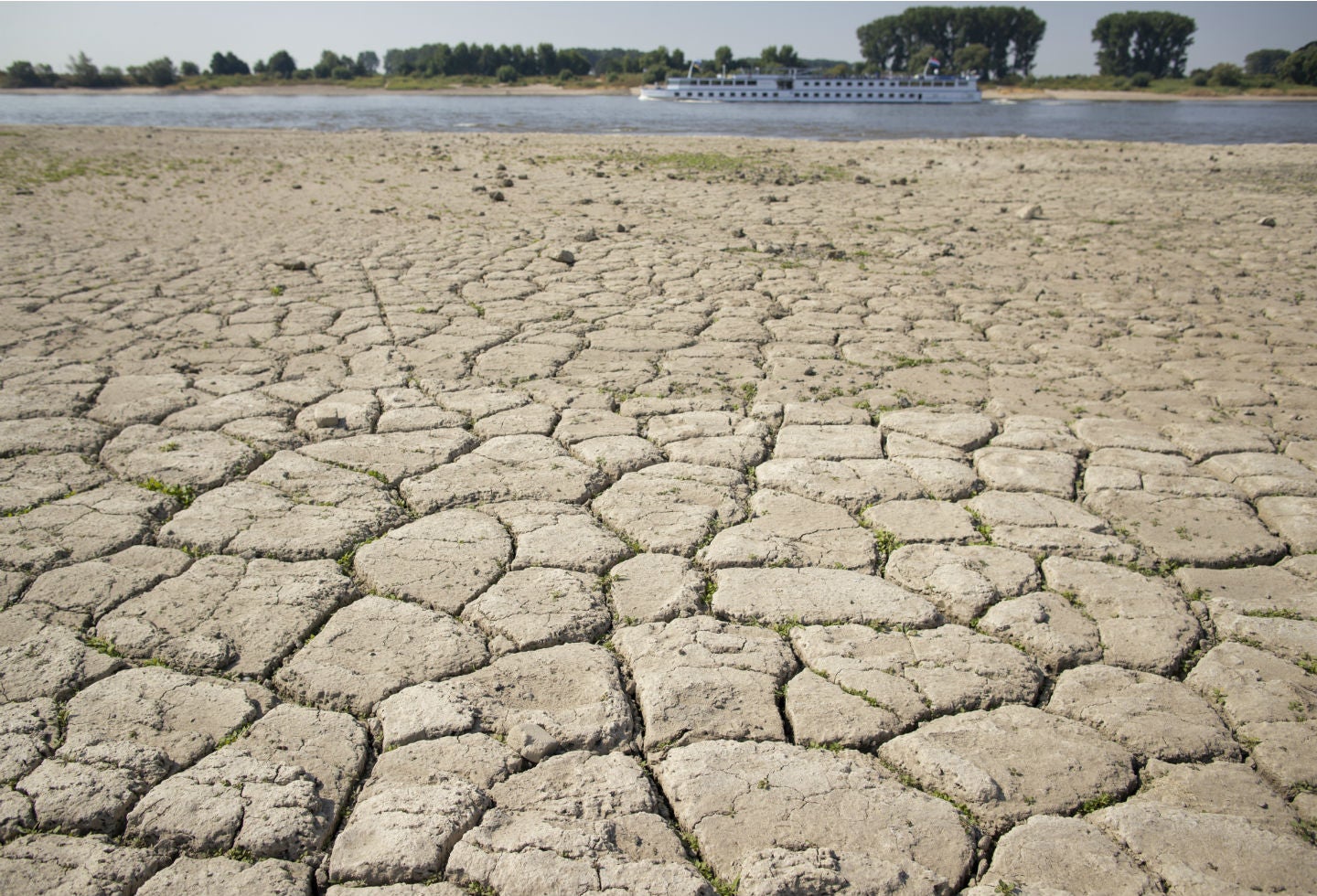 Cambio climático
