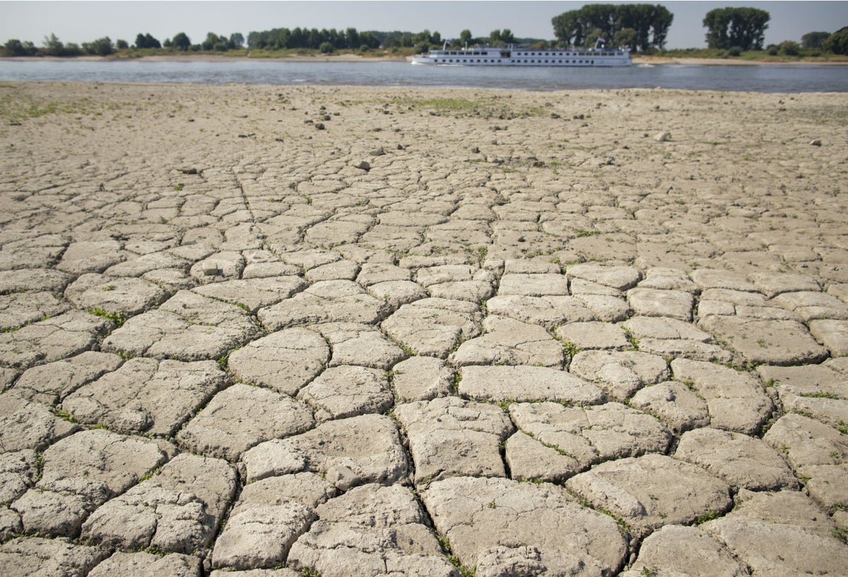 Cambio climático
