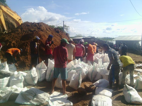 Con costales llenos de arena se aumenta el nivel de los sitios socavados por las aguas del río Cauca