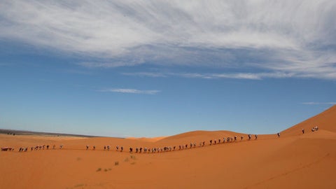 Desierto