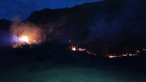 Incendio Forestal