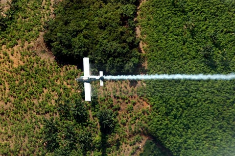 Fumigación aérea de cultivos ilícitos en Tumaco (Nariño)