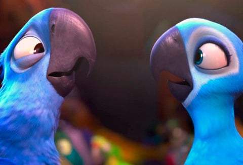 Guacamayos azules en la película Río