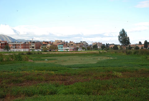 Humedal Jaboque
