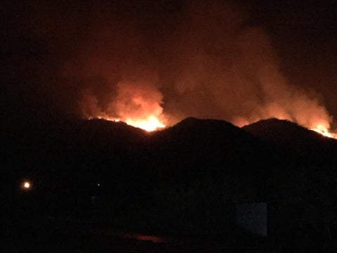 Incendio Forestal